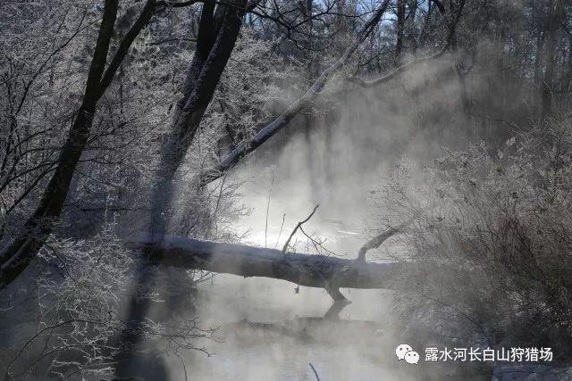 沃达丰与长和合并英国电信子公司的交易面临英国反垄断调查