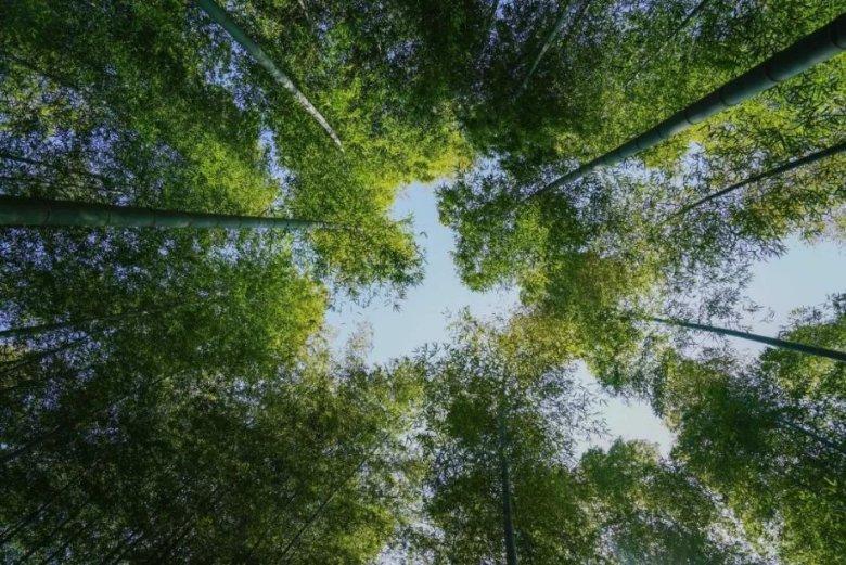 我男朋友今天动手，扇了我一巴掌。我应该怎么办？游戏画面