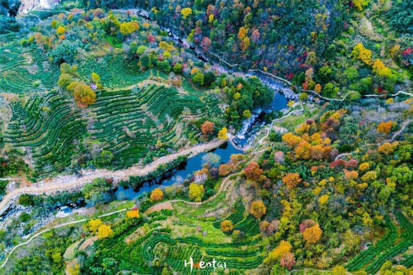 曼晚:曼联考虑更换训练基地,卡灵顿扩建升级会面临很多问题