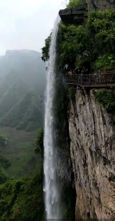 聚焦军事训练，林海雪原，沈阳联勤保障中心实战化训练