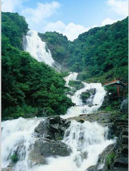 飞鹤X爱婴岛X搜狐 “聪明宝宝闹龙年”广州站火热来袭,点燃聪明宝宝智慧火花